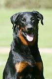 BEAUCERON 822